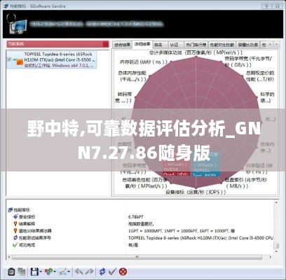 野中特,可靠数据评估分析_GNN7.27.86随身版