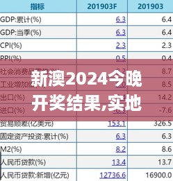 新澳2024今晚开奖结果,实地解析说明_ELX8.40.47策展版