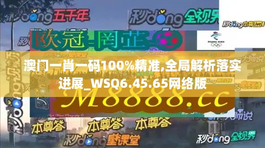 澳门一肖一码100%精准,全局解析落实进展_WSQ6.45.65网络版