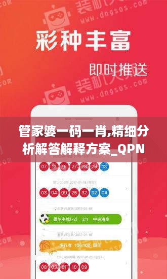 管家婆一码一肖,精细分析解答解释方案_QPN8.77.33挑战版