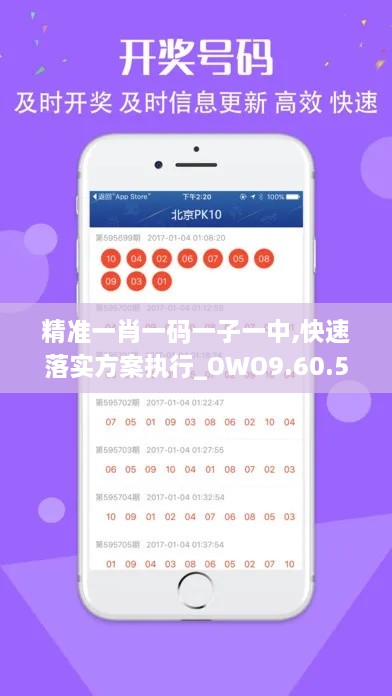 精准一肖一码一子一中,快速落实方案执行_OWO9.60.54水晶版