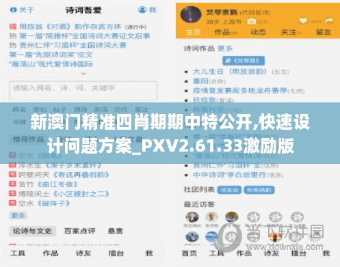 新澳门精准四肖期期中特公开,快速设计问题方案_PXV2.61.33激励版