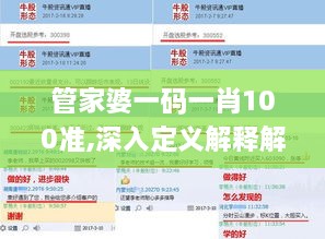 管家婆一码一肖100准,深入定义解释解答_JIY2.66.76精密版