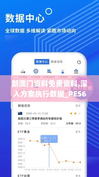 新澳门资料免费资料,深入方案执行数据_PES6.55.77复古版