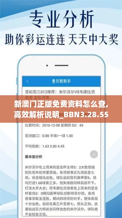 新澳门正版免费资料怎么查,高效解析说明_BBN3.28.55白银版