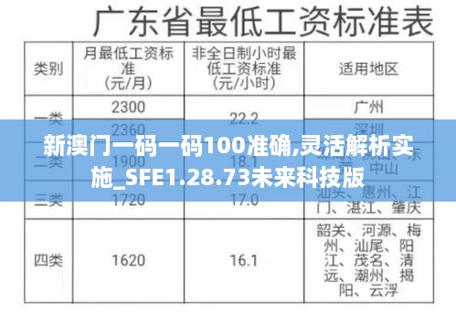 新澳门一码一码100准确,灵活解析实施_SFE1.28.73未来科技版