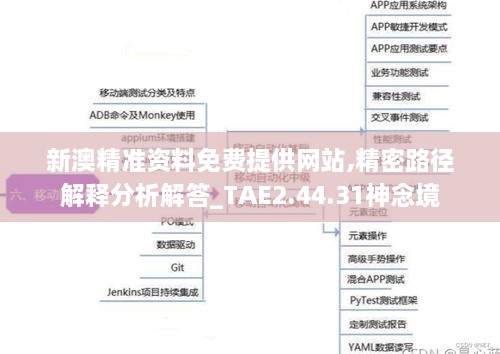 新澳精准资料免费提供网站,精密路径解释分析解答_TAE2.44.31神念境