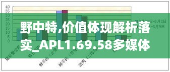 野中特,价值体现解析落实_APL1.69.58多媒体版