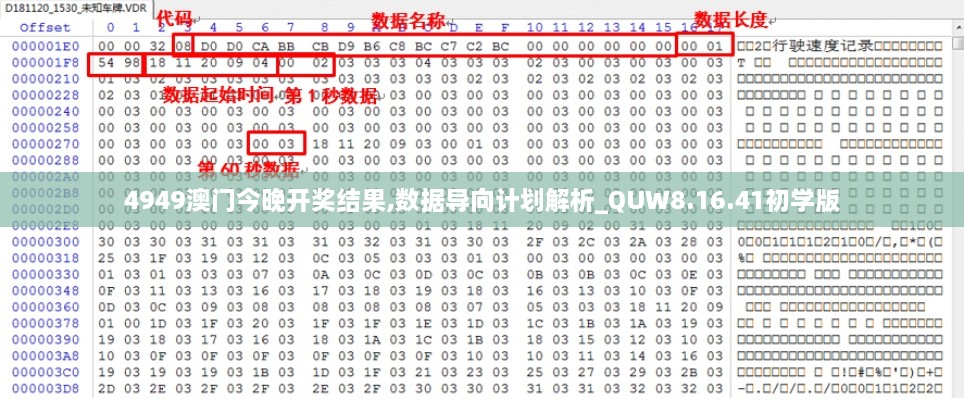 2024年11月18日 第38页