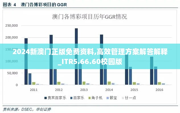 2024新澳门正版免费资料,高效管理方案解答解释_ITR5.66.60校园版