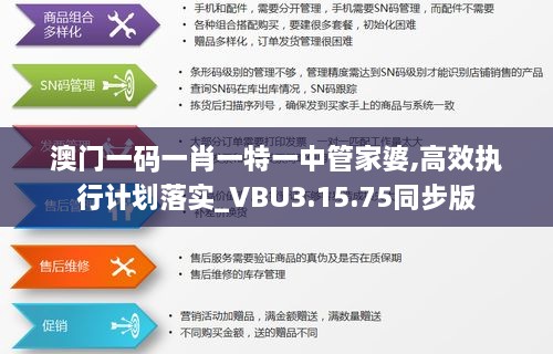 澳门一码一肖一特一中管家婆,高效执行计划落实_VBU3.15.75同步版