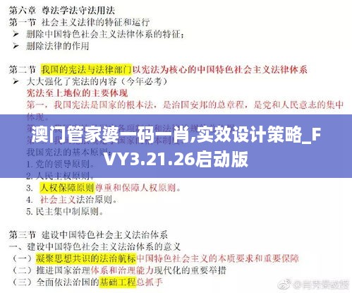 澳门管家婆一码一肖,实效设计策略_FVY3.21.26启动版