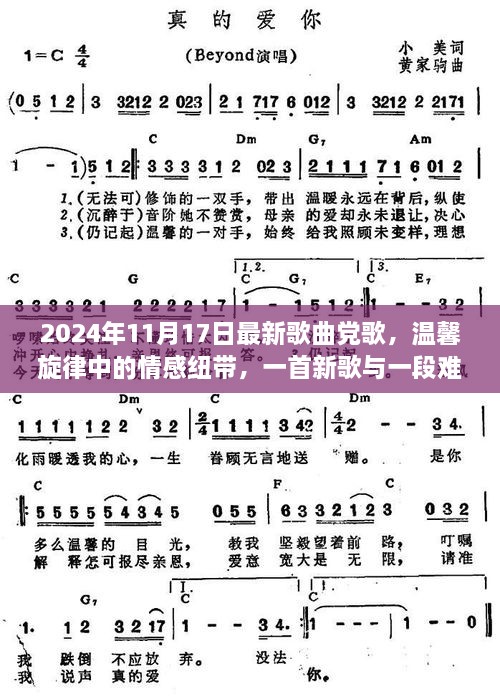 新歌党歌，情感纽带与难忘故事的温馨旋律（2024年11月17日）