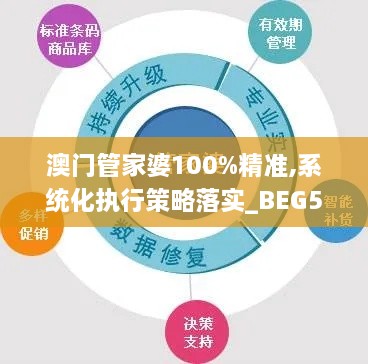 澳门管家婆100%精准,系统化执行策略落实_BEG5.12.98显示版