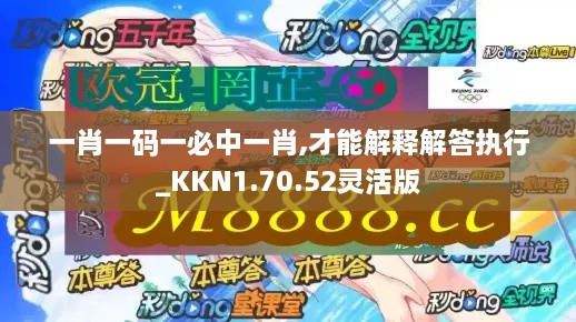 一肖一码一必中一肖,才能解释解答执行_KKN1.70.52灵活版