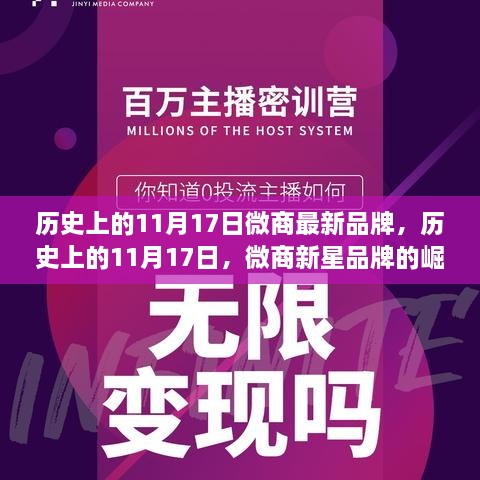 历史上的11月17日，微商新星品牌的崛起与自信力量的变迁