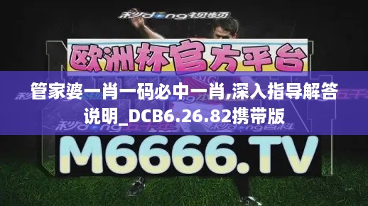 管家婆一肖一码必中一肖,深入指导解答说明_DCB6.26.82携带版