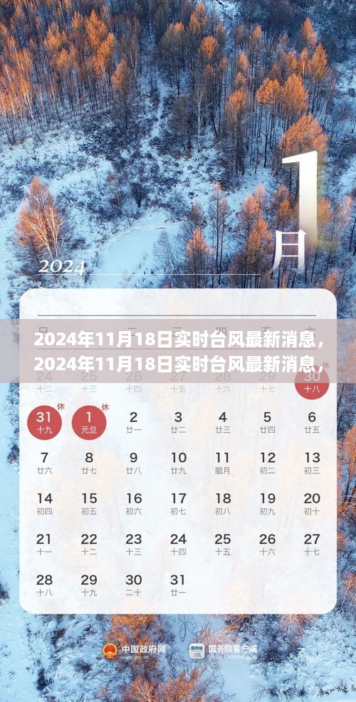 实时更新，2024年台风动态及应对指南