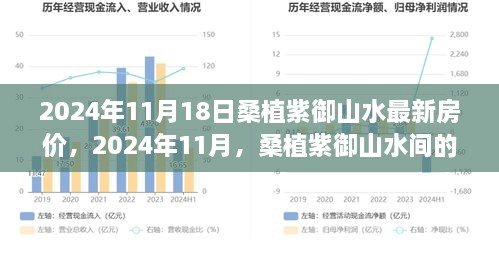 2024年桑植紫御山水最新房价与诗意栖居的旅程