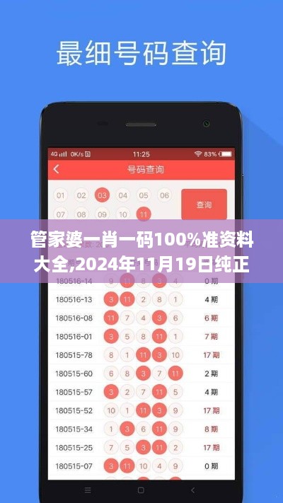 管家婆一肖一码100%准资料大全,2024年11月19日纯正解答解释落实_CDM7.36.90曝光版