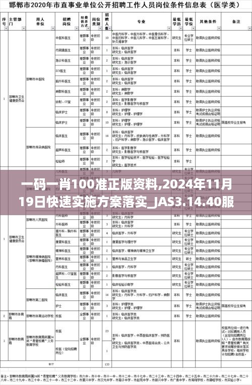 2024年11月19日 第132页