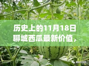 揭秘，聊城西瓜新纪元——历史上的11月18日高科技西瓜价值揭秘