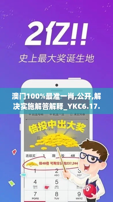 澳门100%最准一肖,公开,解决实施解答解释_YKC6.17.74见证版