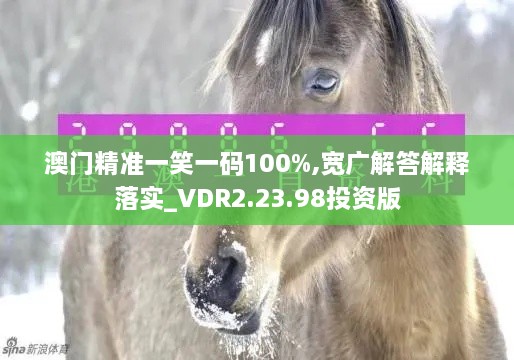 澳门精准一笑一码100%,宽广解答解释落实_VDR2.23.98投资版