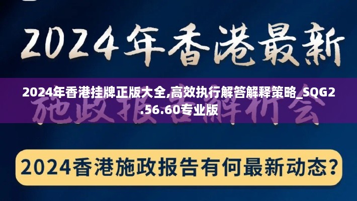 2024年香港挂牌正版大全,高效执行解答解释策略_SQG2.56.60专业版