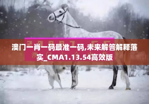 澳门一肖一码最准一码,未来解答解释落实_CMA1.13.54高效版