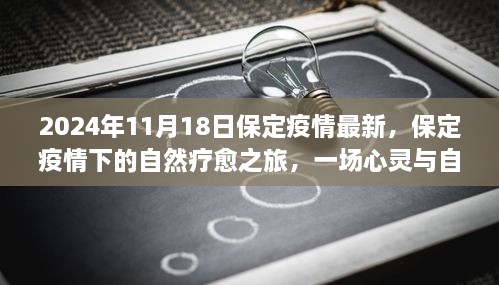 2024年11月18日保定疫情最新，保定疫情下的自然疗愈之旅，一场心灵与自然的奇妙邂逅