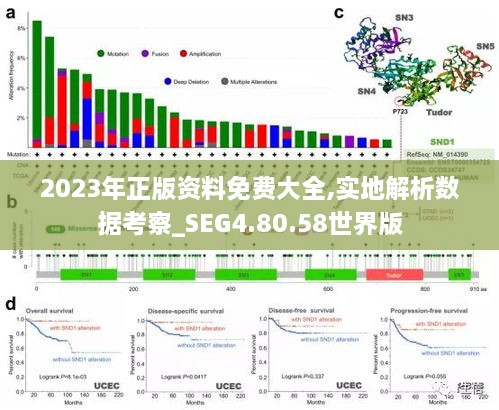 2023年正版资料免费大全,实地解析数据考察_SEG4.80.58世界版