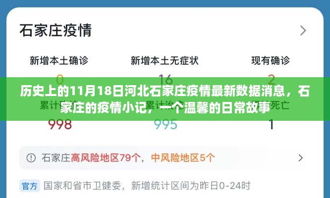 历史上的11月18日河北石家庄疫情最新数据消息，石家庄的疫情小记，一个温馨的日常故事