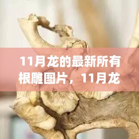 11月龙根雕图片大全，探索最新艺术审美