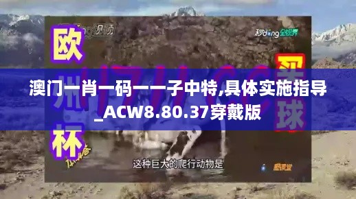 澳门一肖一码一一子中特,具体实施指导_ACW8.80.37穿戴版