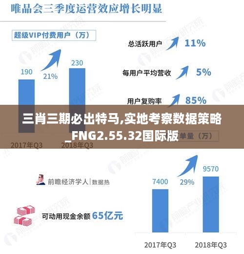 三肖三期必出特马,实地考察数据策略_FNG2.55.32国际版