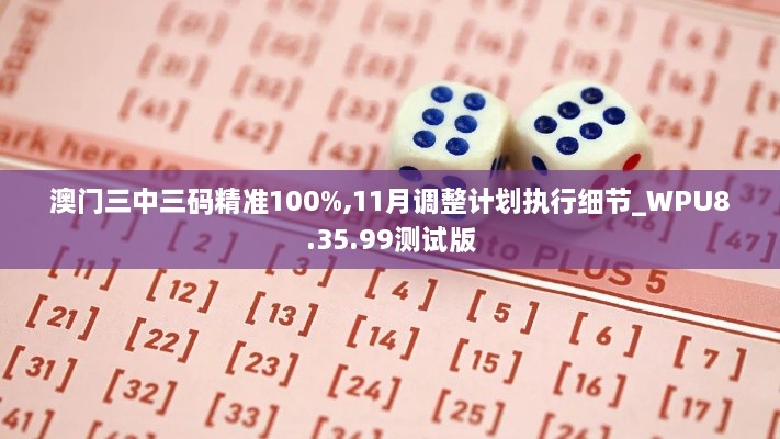 澳门三中三码精准100%,11月调整计划执行细节_WPU8.35.99测试版