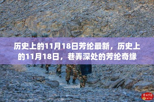 历史上的11月18日，芳纶奇缘揭秘与最新动态