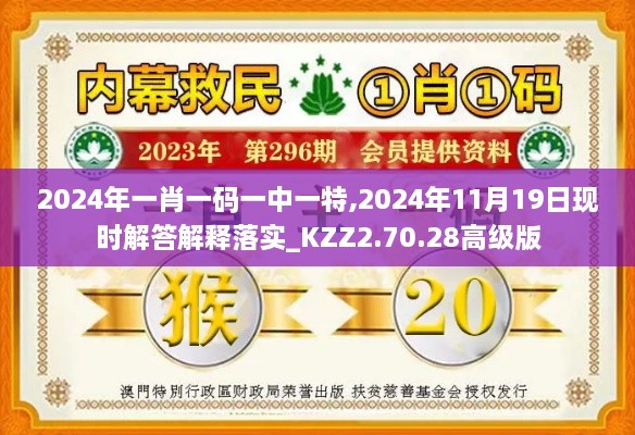 2024年一肖一码一中一特,2024年11月19日现时解答解释落实_KZZ2.70.28高级版