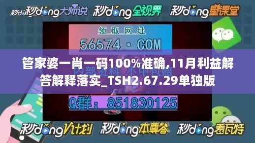 管家婆一肖一码100%准确,11月利益解答解释落实_TSH2.67.29单独版