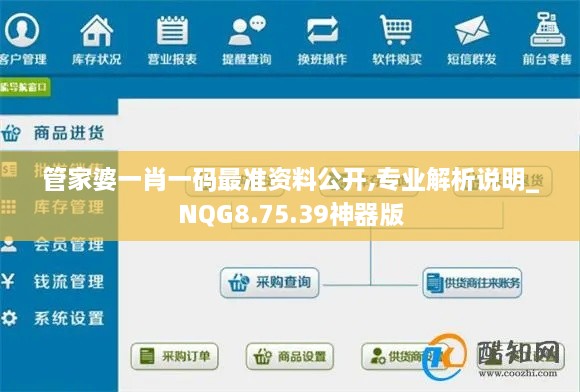 管家婆一肖一码最准资料公开,专业解析说明_NQG8.75.39神器版