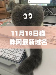 揭秘猫咪网新域名，11月18日的重大变革