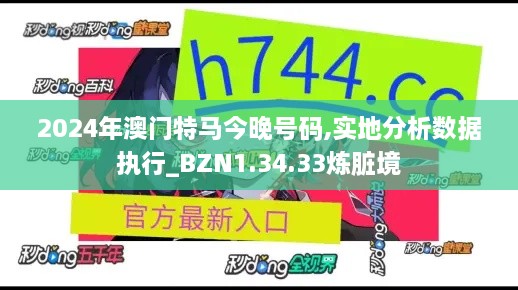 2024年澳门特马今晚号码,实地分析数据执行_BZN1.34.33炼脏境