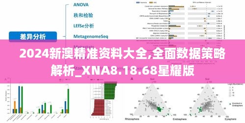 2024新澳精准资料大全,全面数据策略解析_XNA8.18.68星耀版