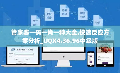 管家婆一码一肖一种大全,快速反应方案分析_UQX4.36.96中级版