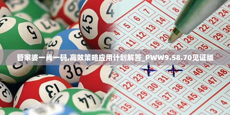 管家婆一肖一码,高效策略应用计划解答_PWW9.58.70见证版