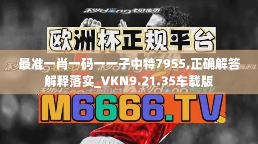 最准一肖一码一一子中特7955,正确解答解释落实_VKN9.21.35车载版