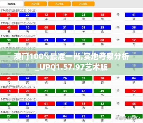 澳门100%最准一肖,实地考察分析_UPQ1.57.97艺术版