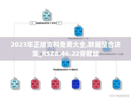 2023年正版资料免费大全,数据整合决策_RSZ8.46.22穿戴版