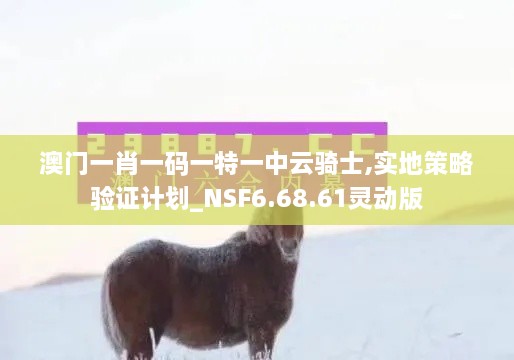 澳门一肖一码一特一中云骑士,实地策略验证计划_NSF6.68.61灵动版